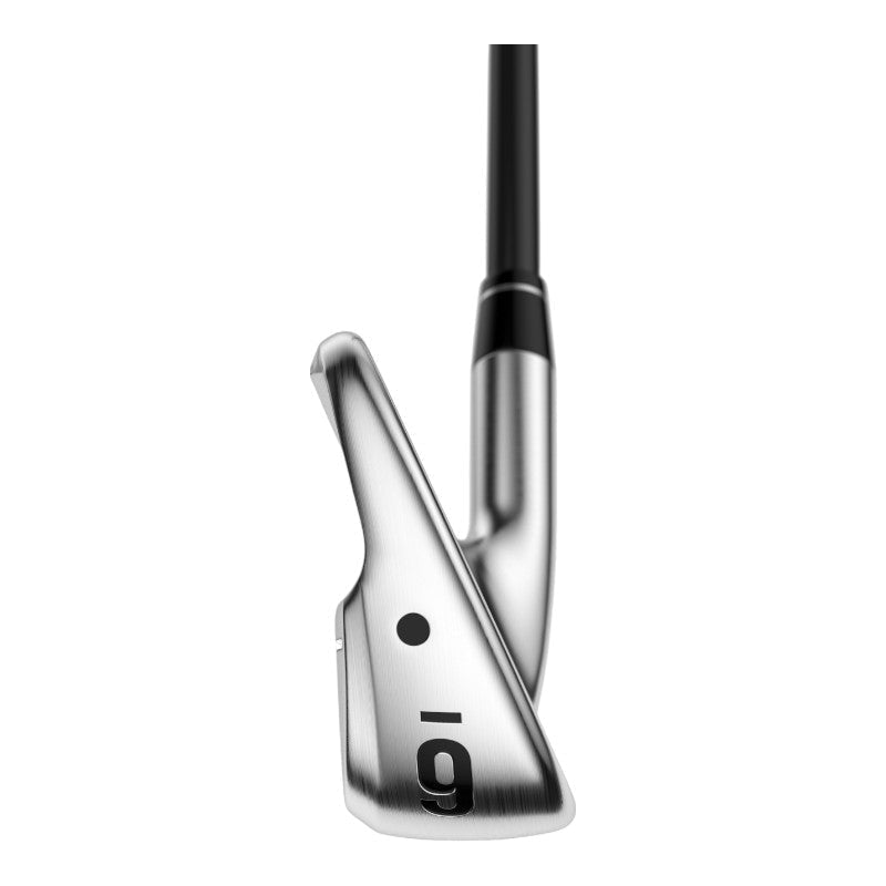 Callaway Apex Ti-Fusion Plated Golf Irons | Graphite