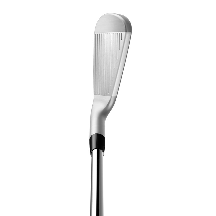 TaylorMade P790 Golf Irons | Steel