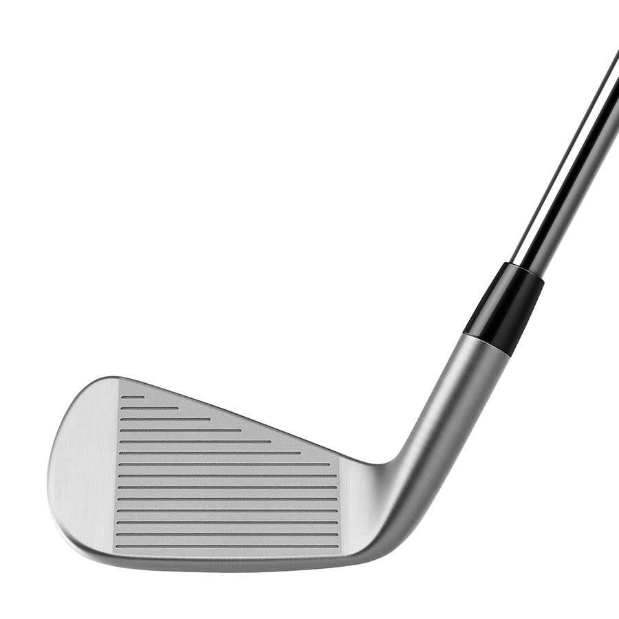 TaylorMade P790 Golf Irons | Steel