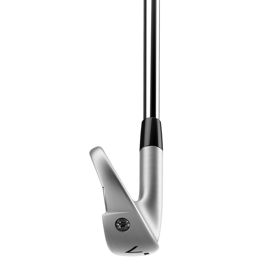 TaylorMade P790 Golf Irons | Steel