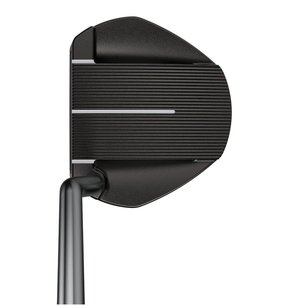 Ping 2021 Fetch Golf Putter