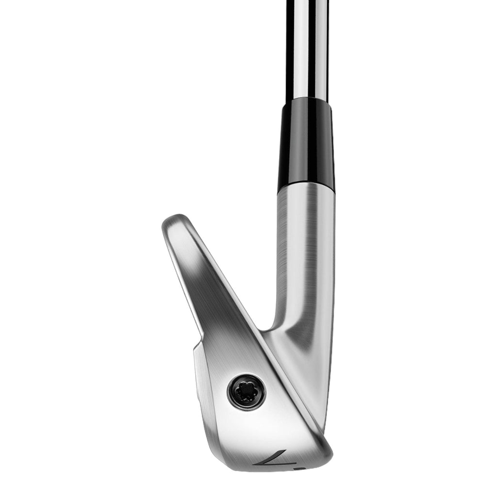 TaylorMade 2025 P770 Golf Irons | Steel